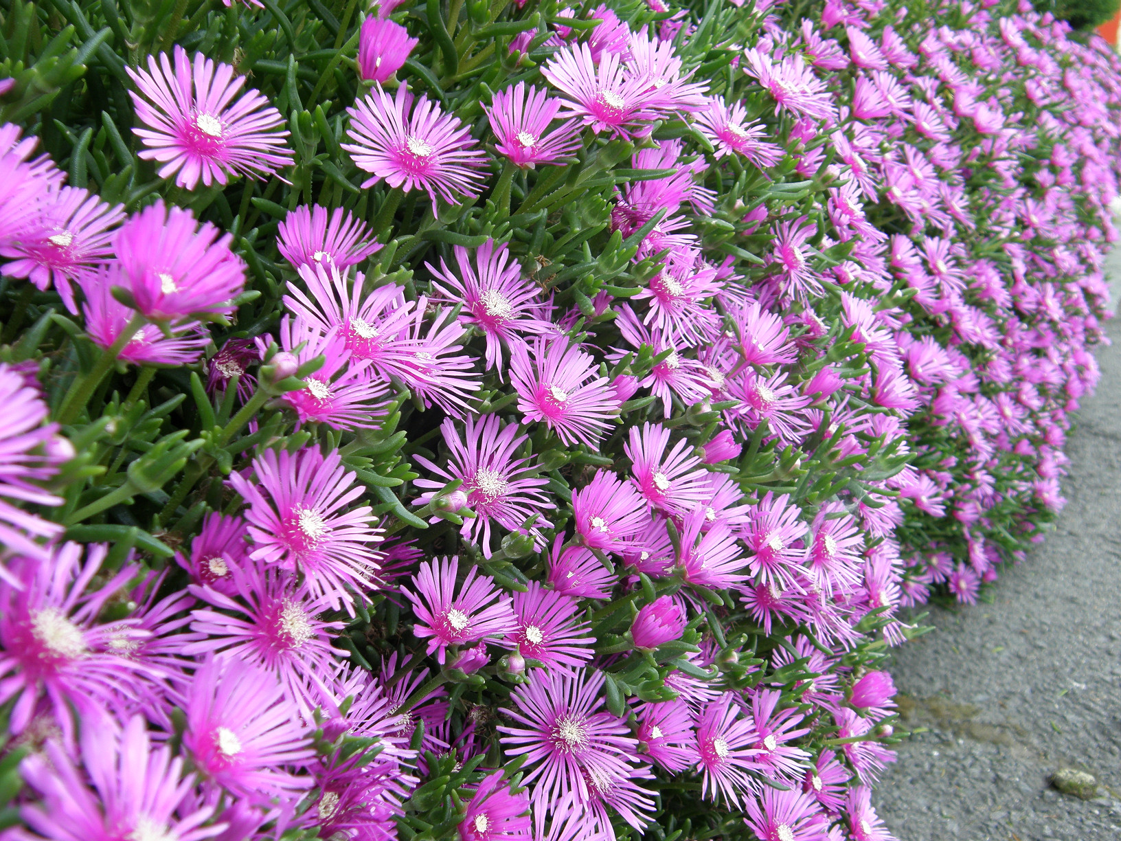 P6302451.jpg