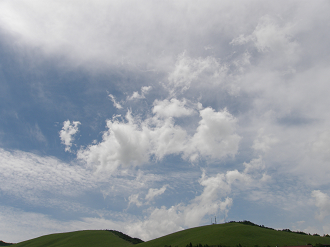 P6302488_thumb.png
