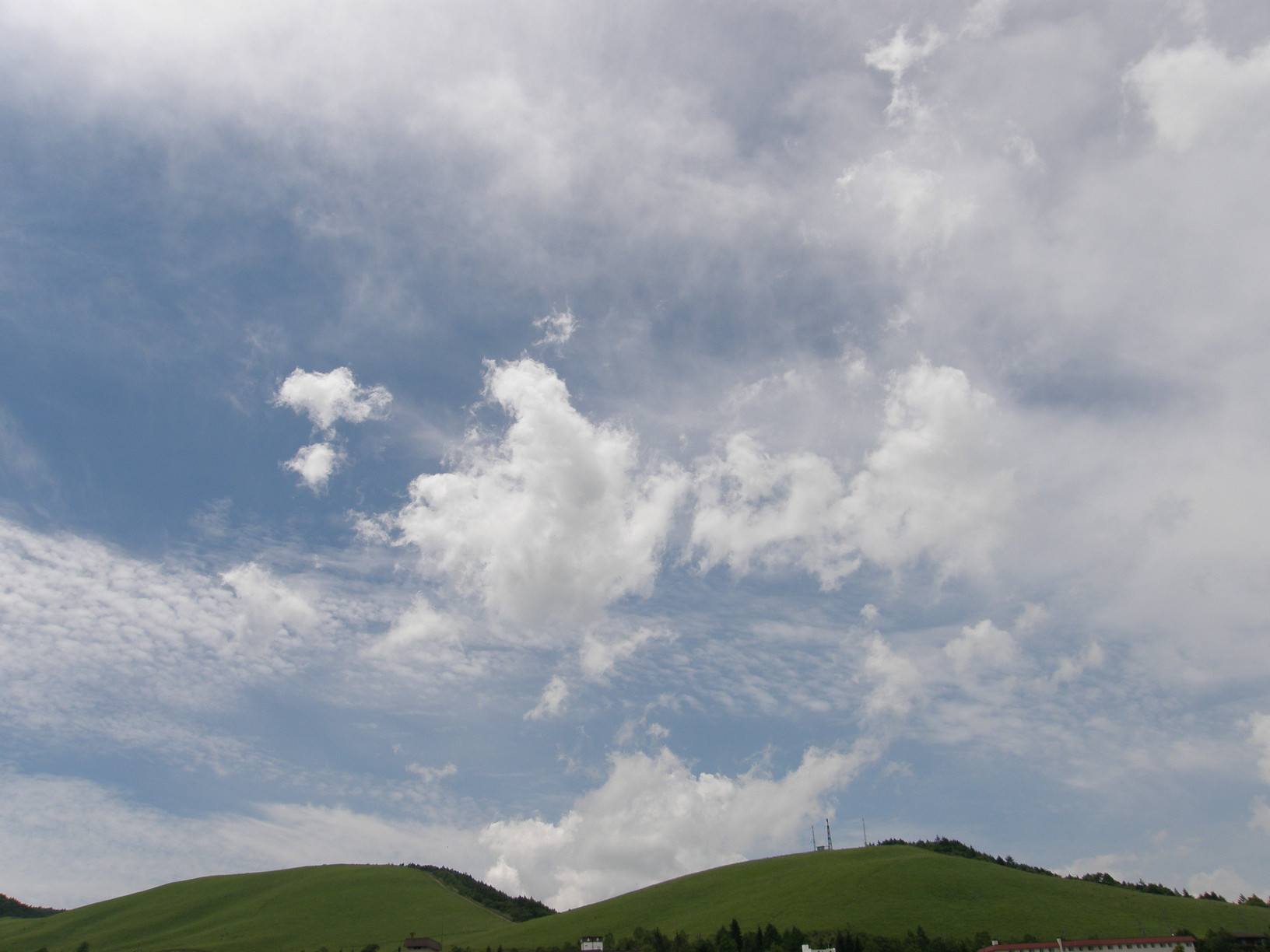 P6302494.jpg