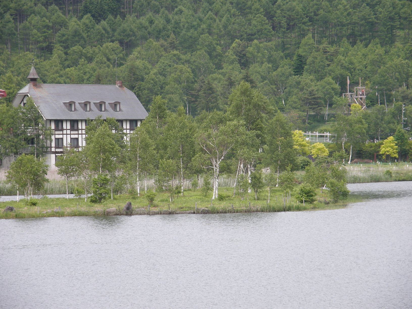 P6302500.jpg