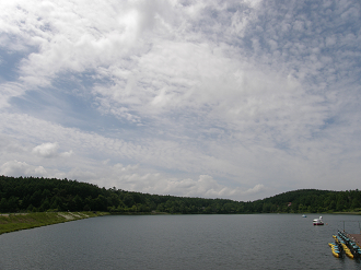 P6302517_thumb.png