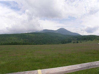 P6302522_thumb.png