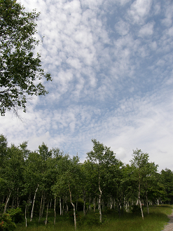 P6302539_thumb.png
