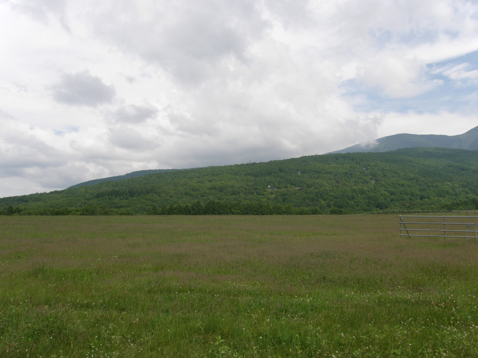 P6302541.jpg