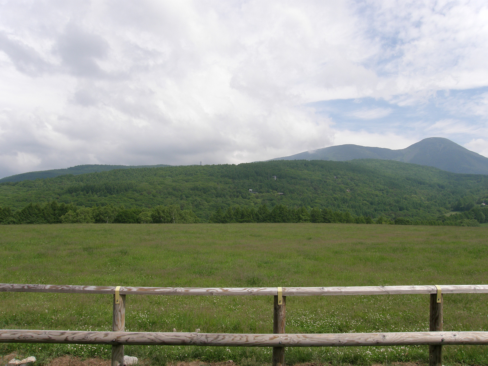 P6302547.jpg