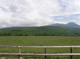 P6302547_thumb.png