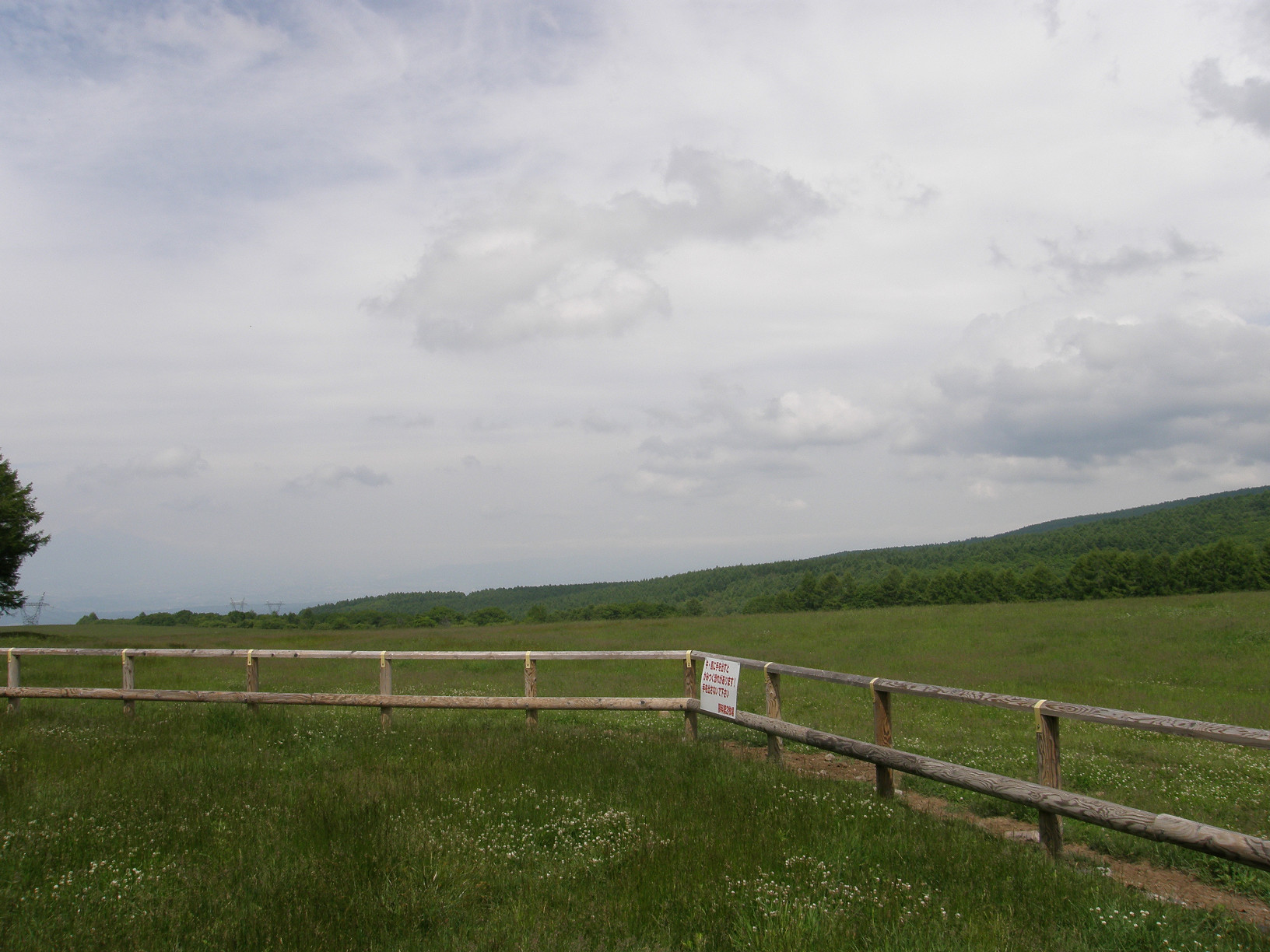 P6302548.jpg