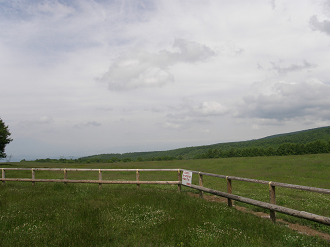 P6302548_thumb.png