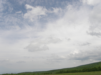 P6302550_thumb.png