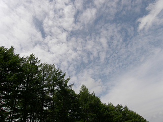 P6302554_thumb.png