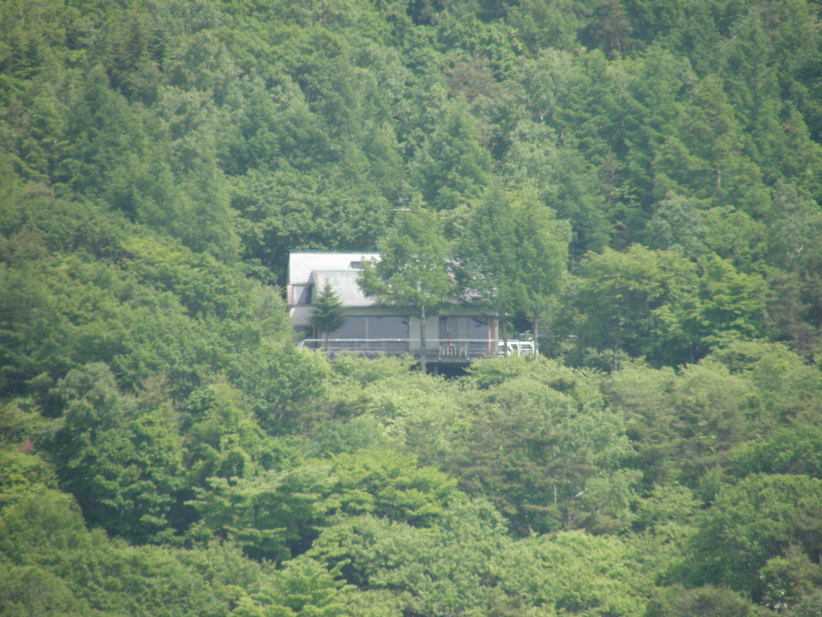 P6302559.jpg