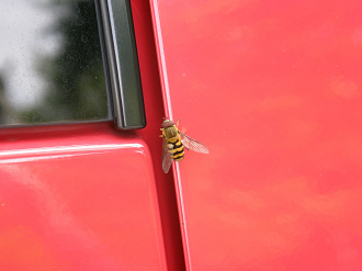 P6302562_thumb.png