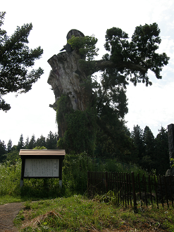 P6302588_thumb.png