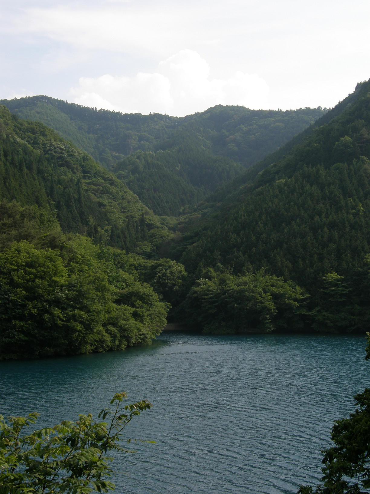 P6302617.jpg
