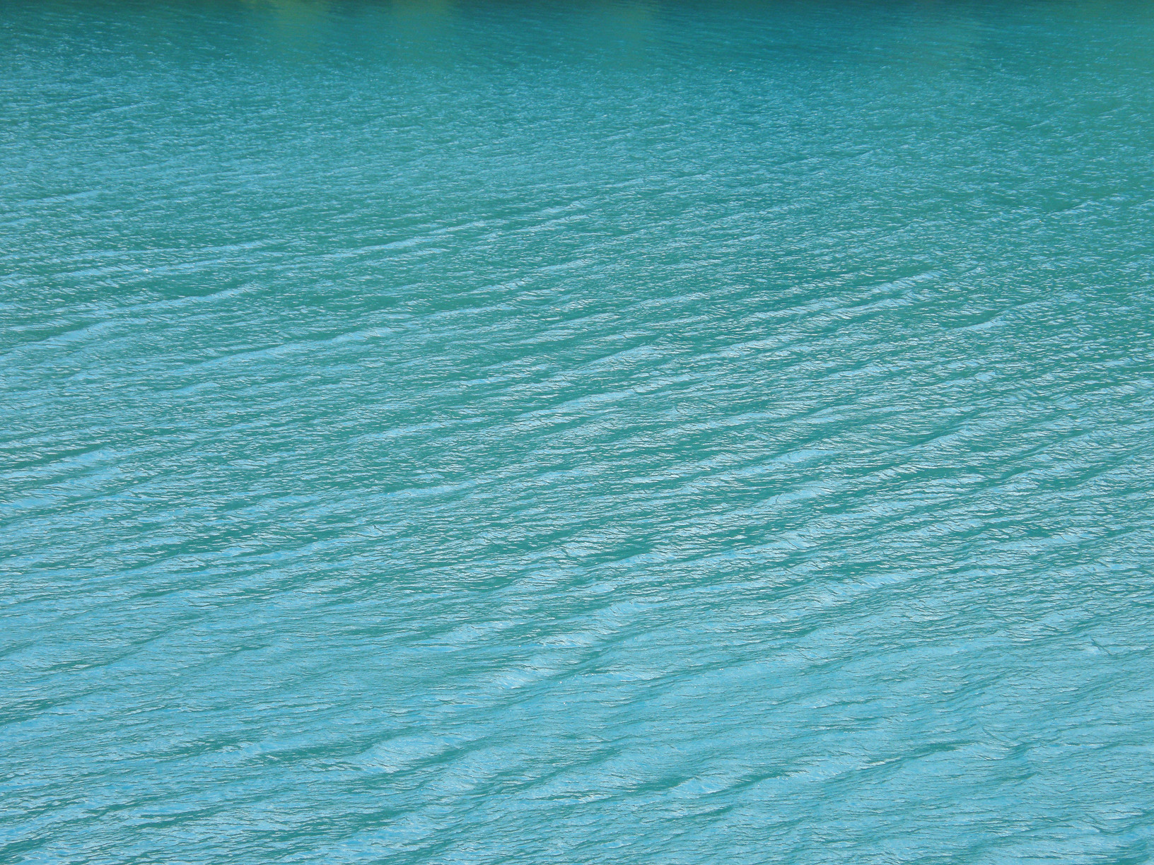 P6302619.jpg