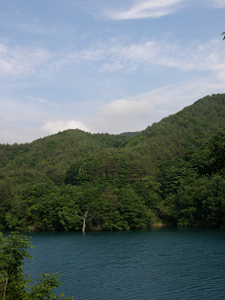 P6302621_thumb.png