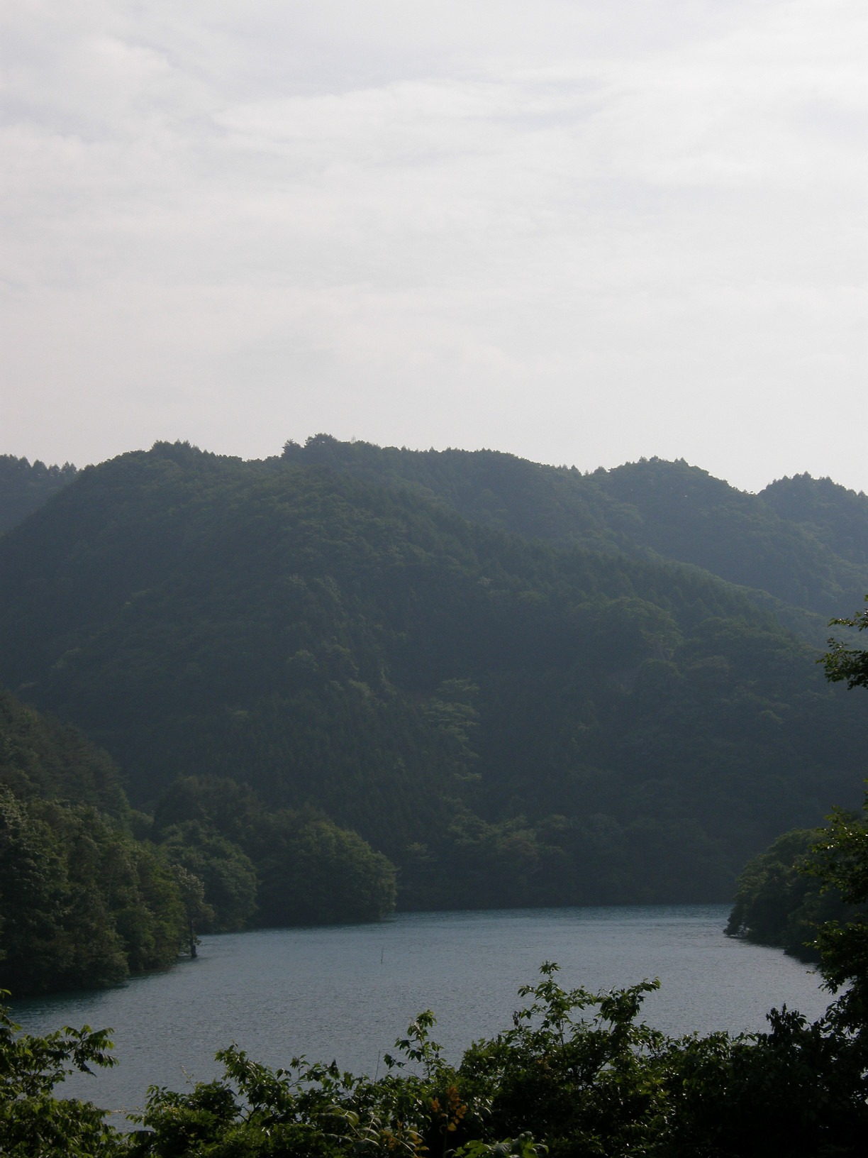 P6302630.jpg