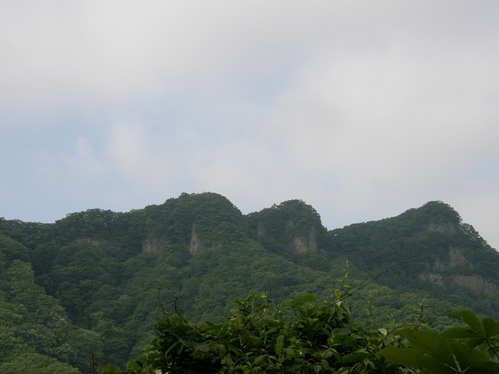 P6302644.jpg
