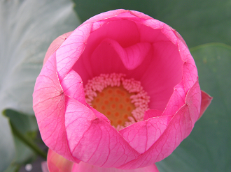 P7152820_thumb.png