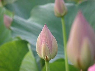 P7152856_thumb.png