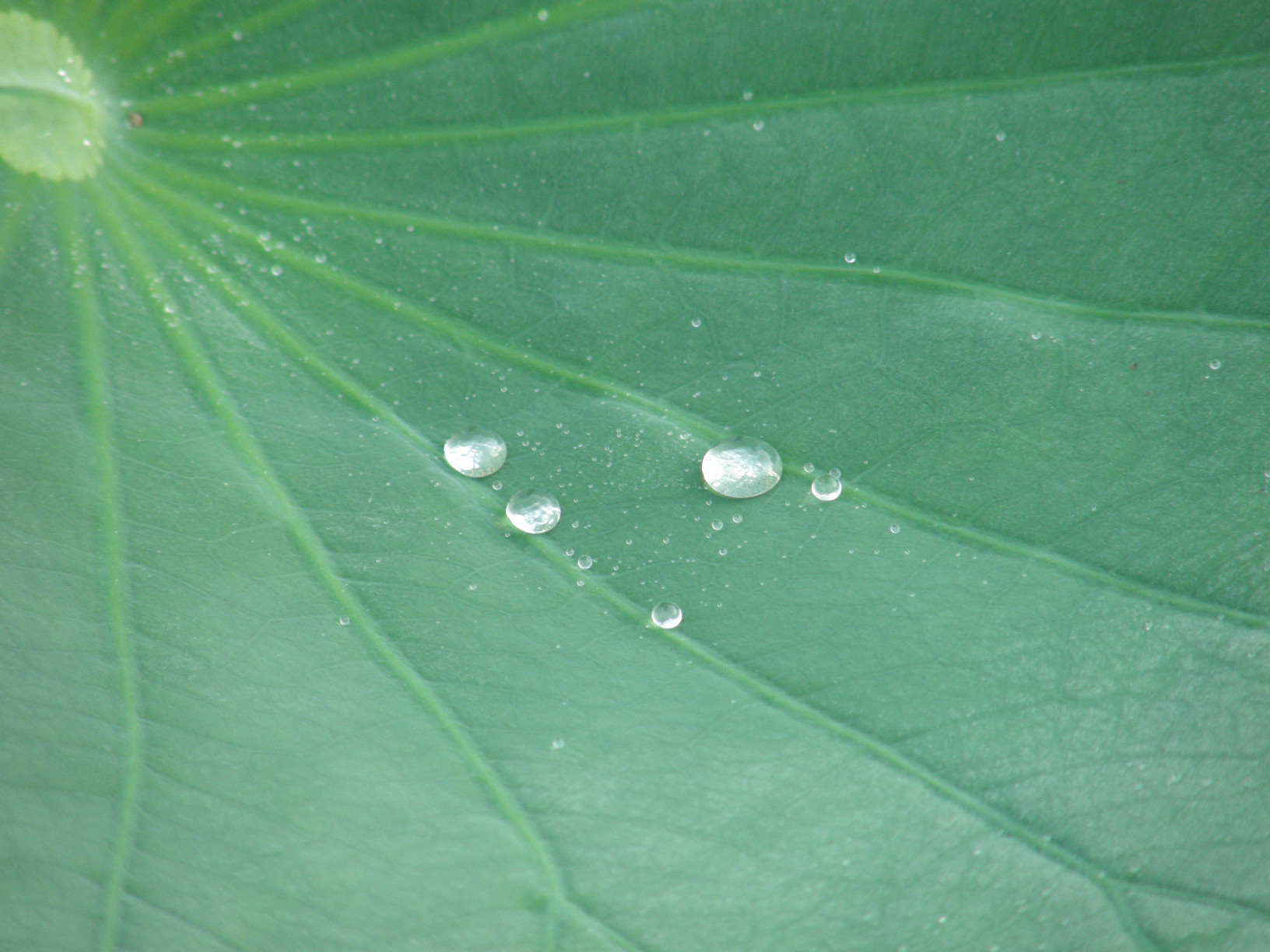 P7152860.jpg