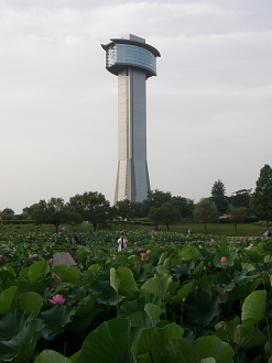 P7152862_thumb.png