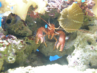 P7202722_thumb.png
