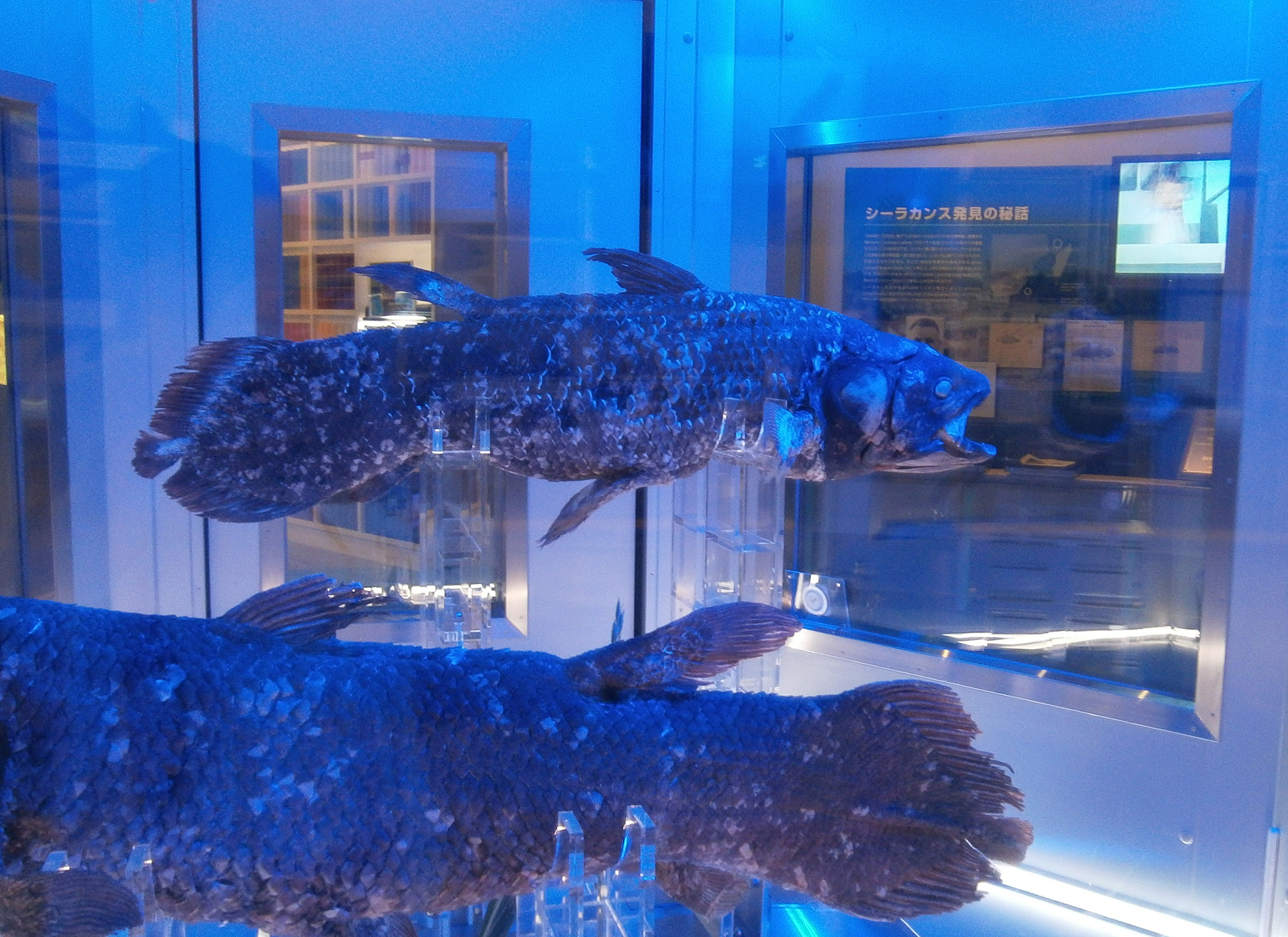 P7202750.jpg