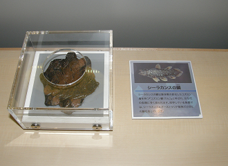 P7202755_thumb.png