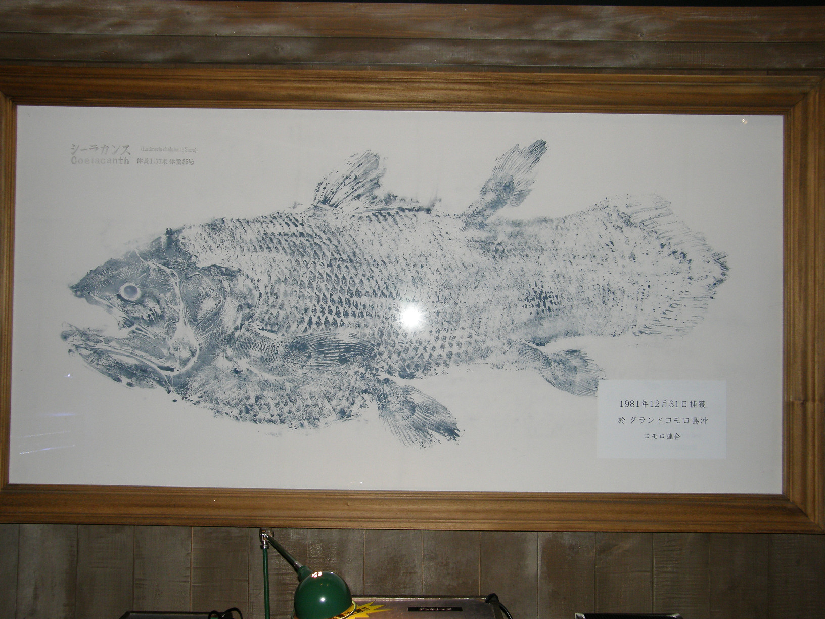 P7202774.jpg