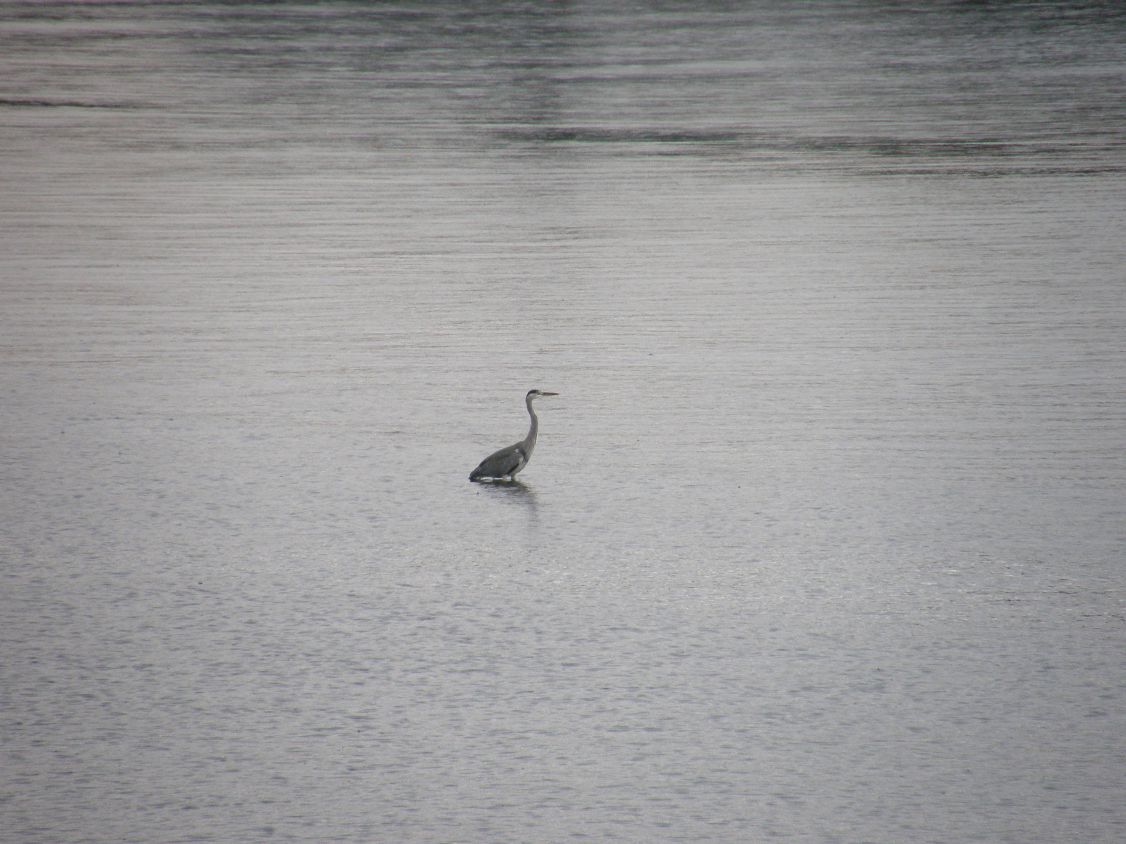 P7202810.jpg