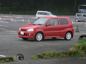 P7212851_thumb.png