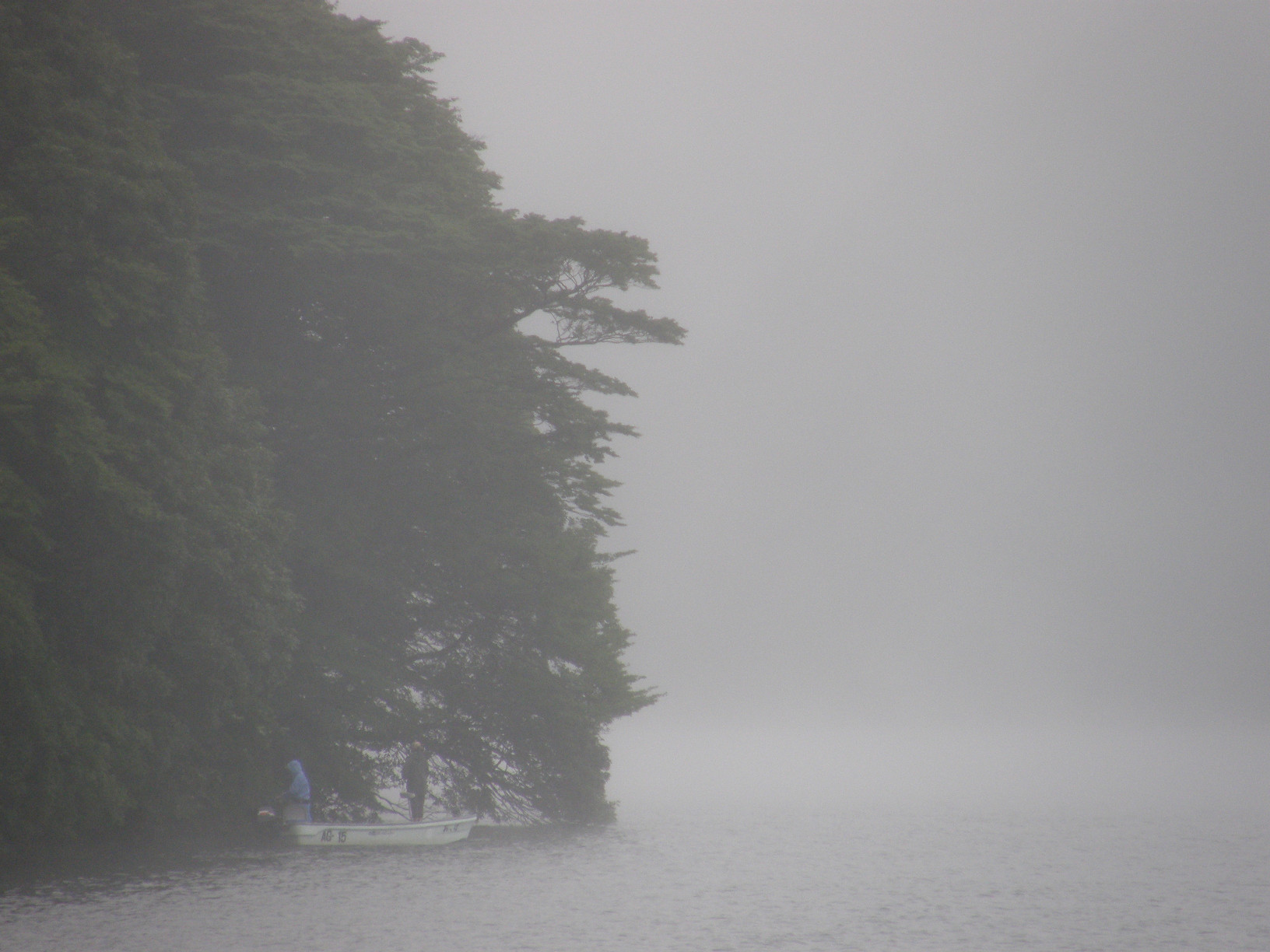 P7212855.jpg