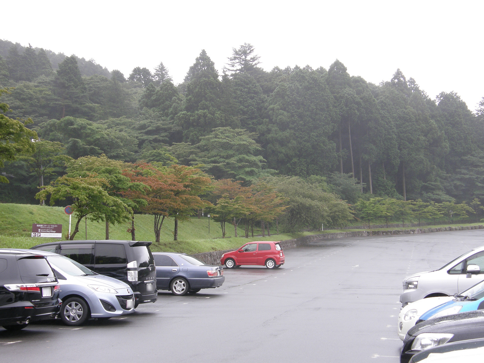 P7212863.jpg