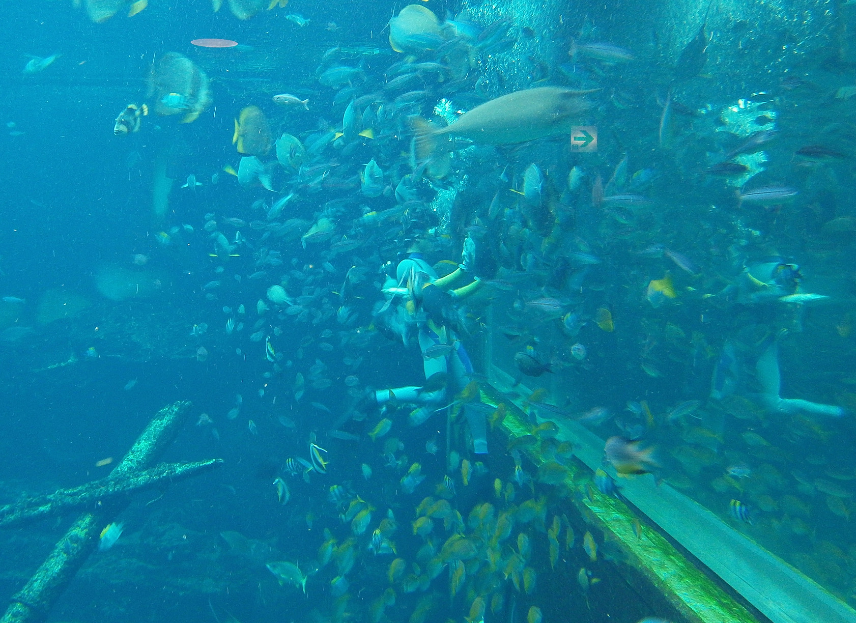 P7212872.jpg
