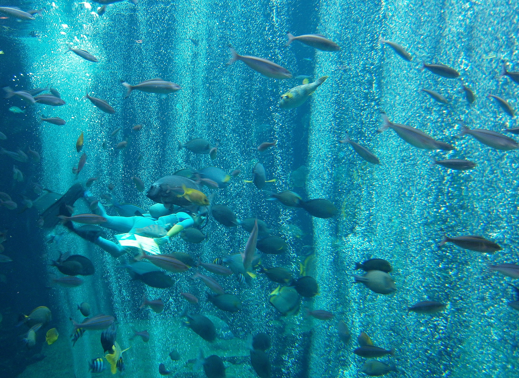 P7212873.jpg