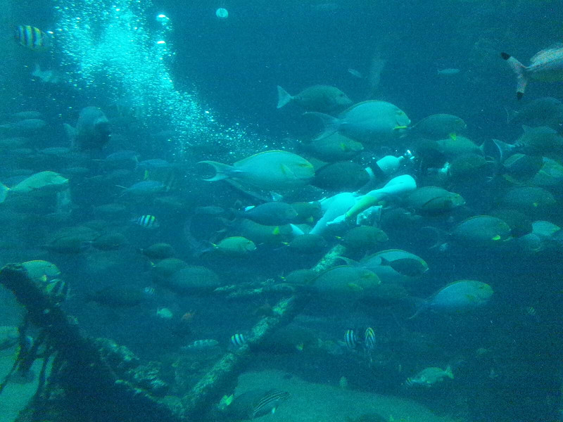 P7212880.jpg