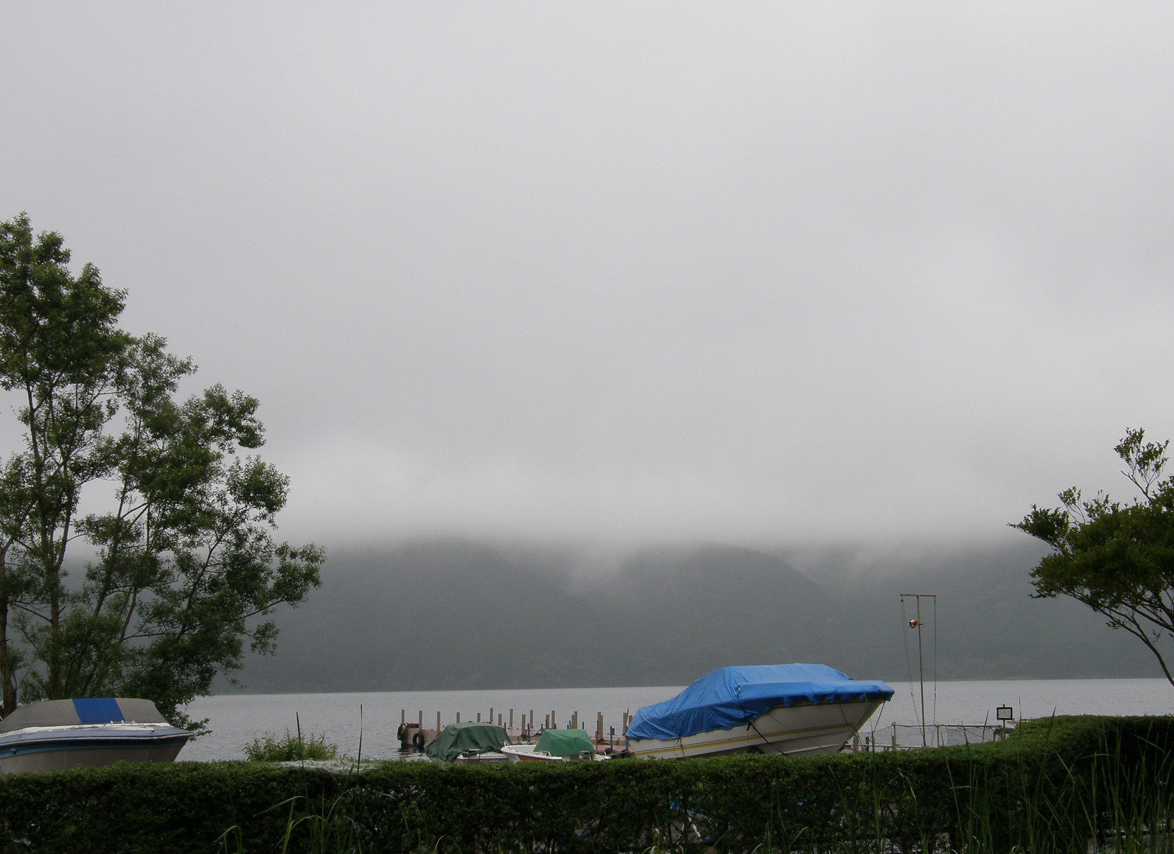P7212953.jpg