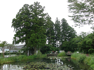 P7212954_thumb.png