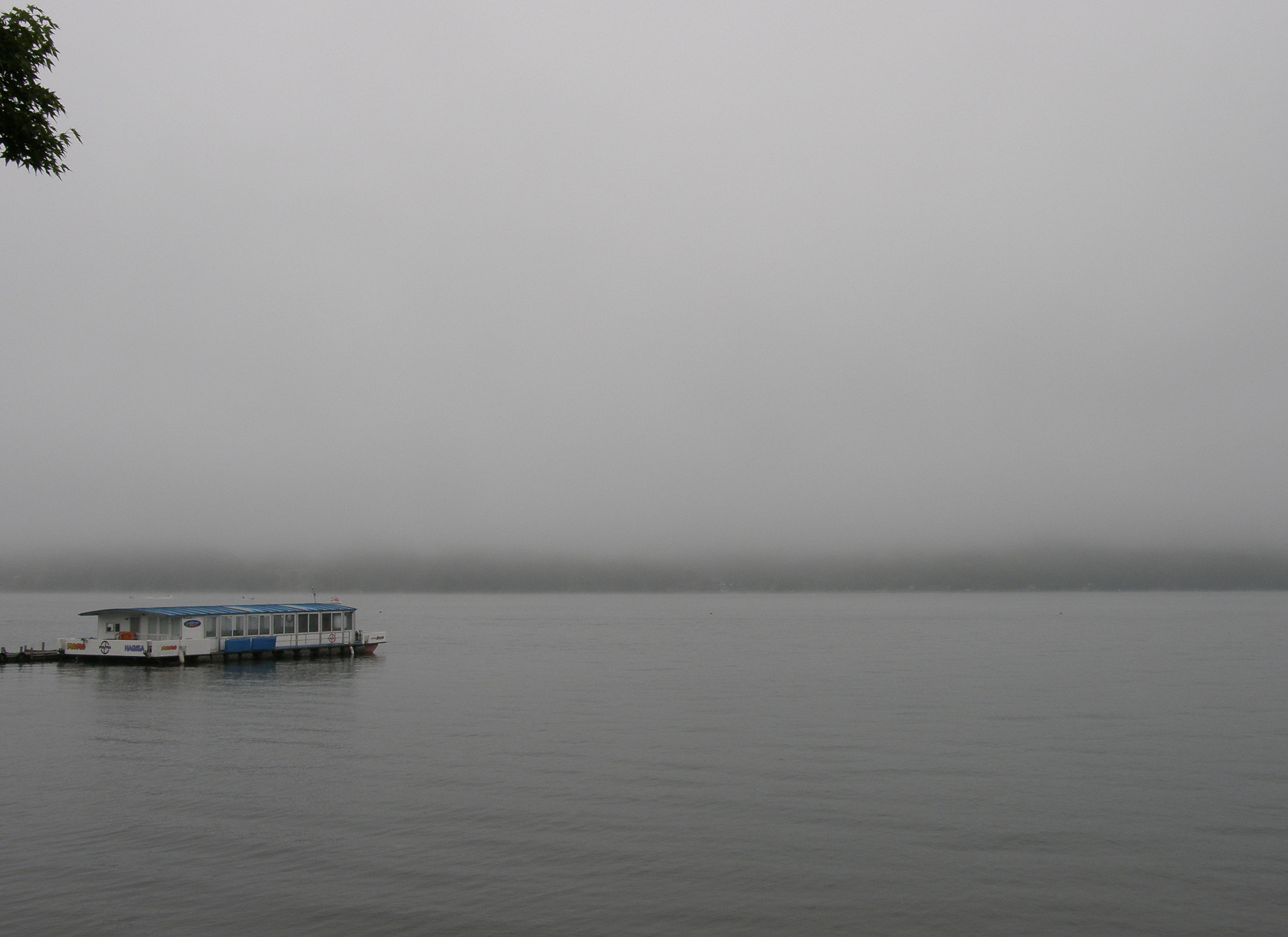 P7213021.jpg