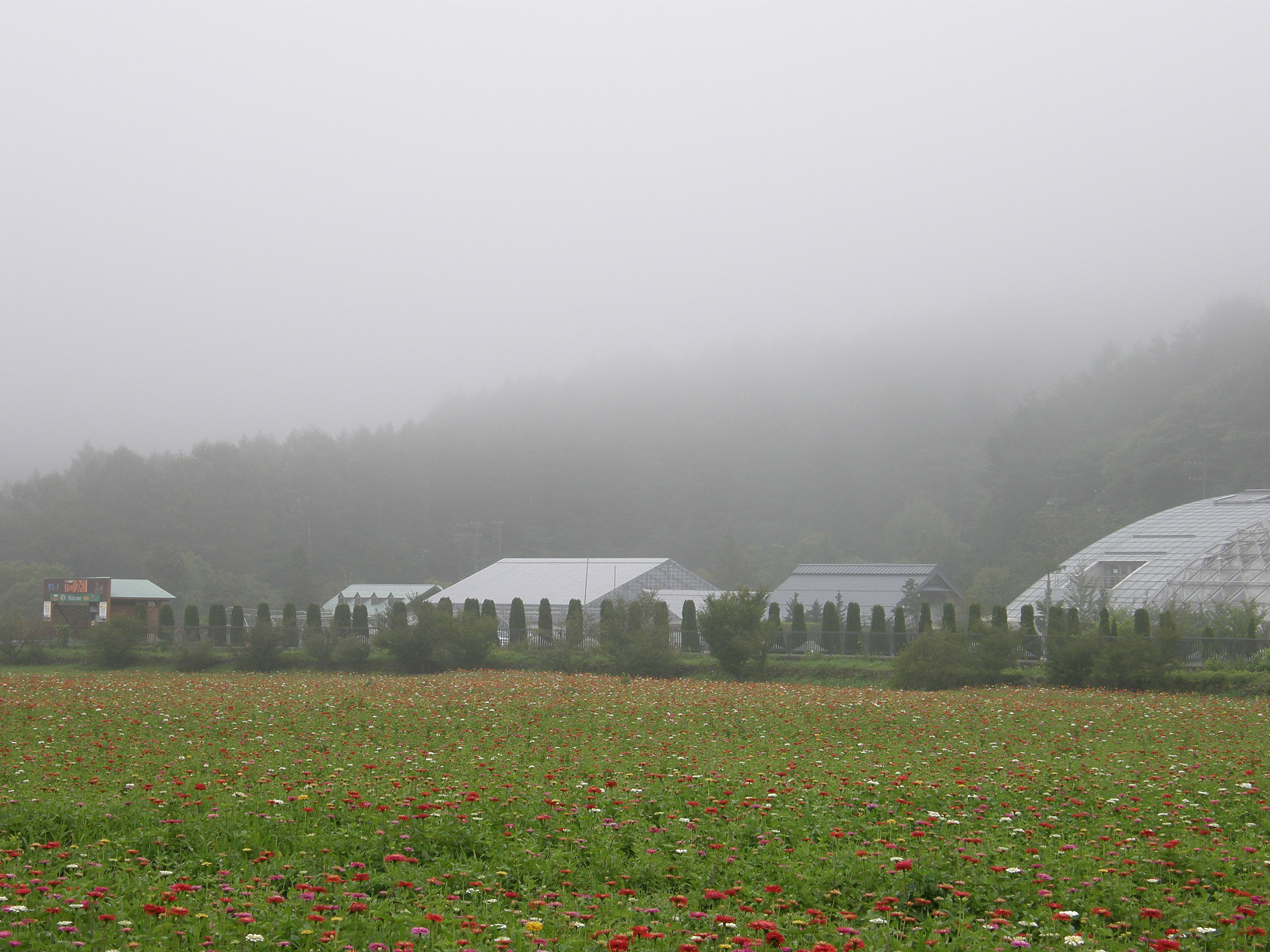 P7213023.jpg