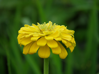 P7213032_thumb.png