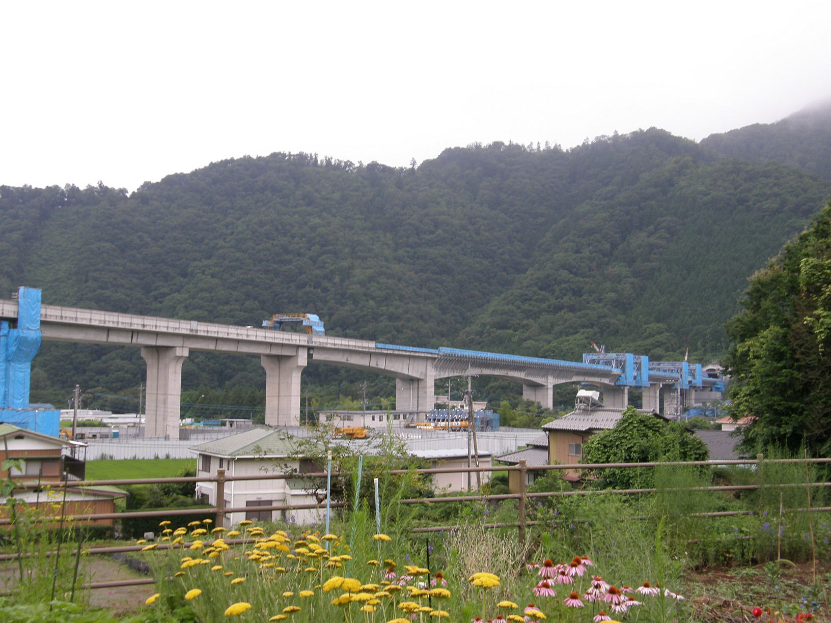 P7213035.jpg