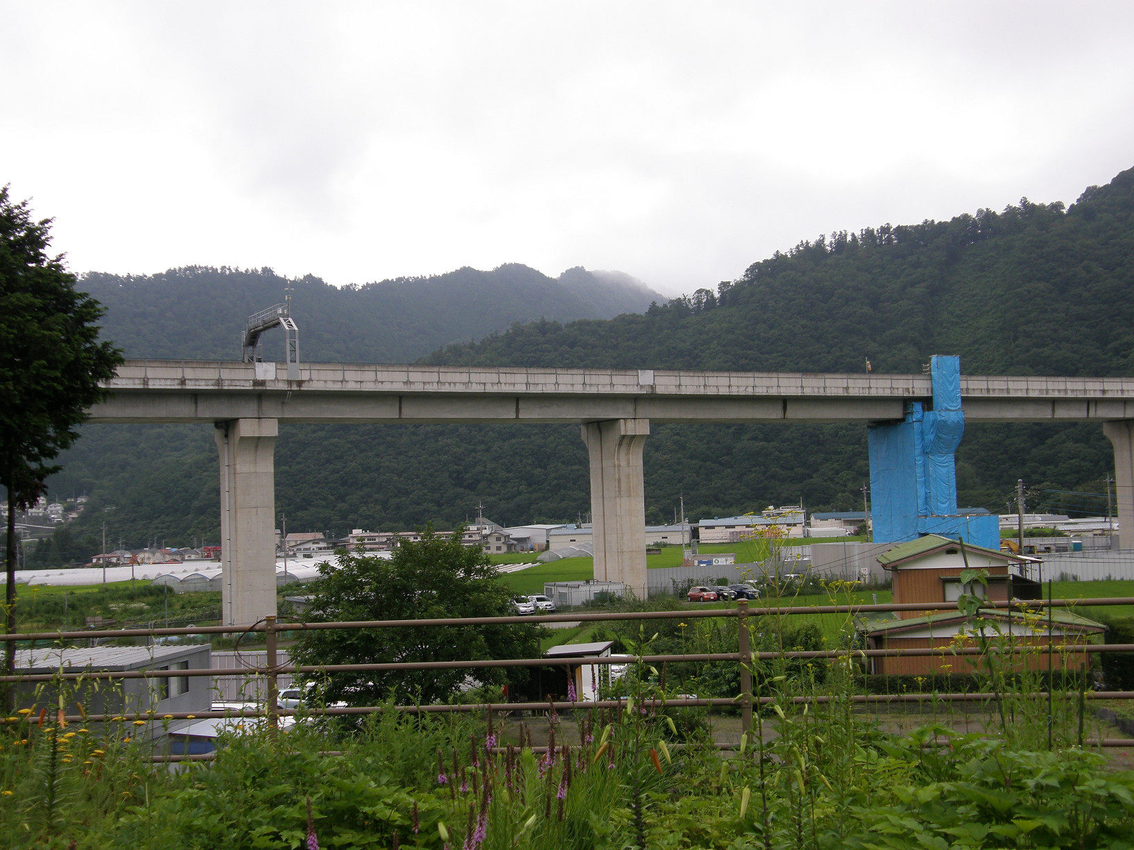 P7213036.jpg