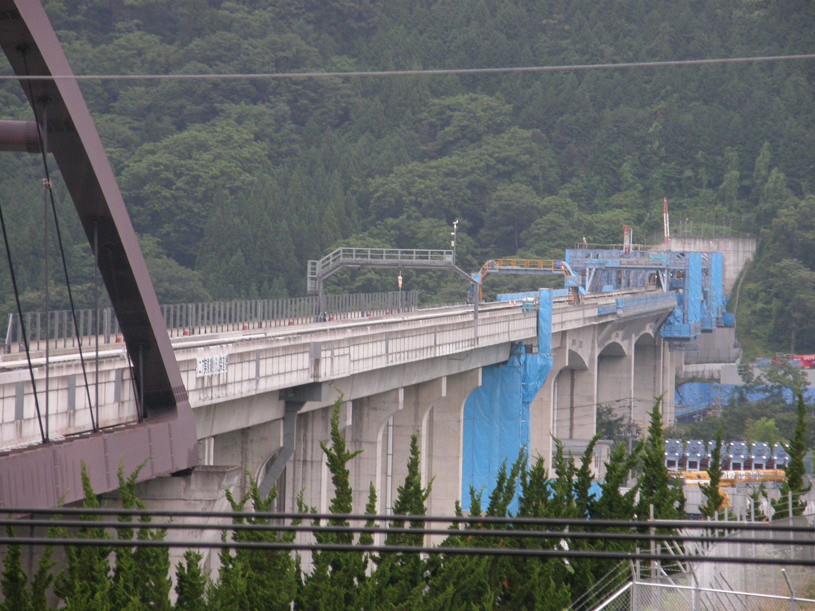 P7213057.jpg