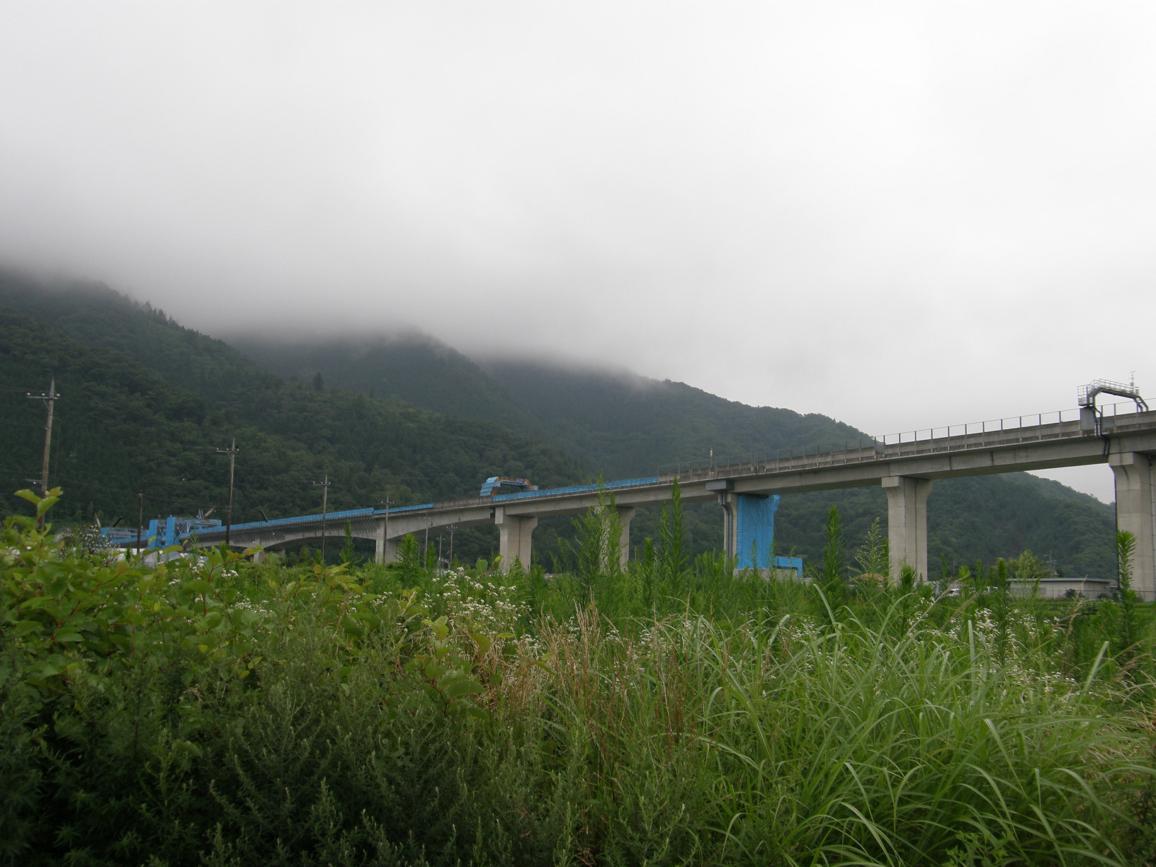 P7213070.jpg