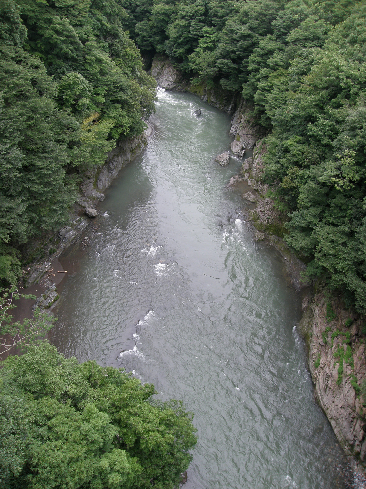 P7213071.jpg