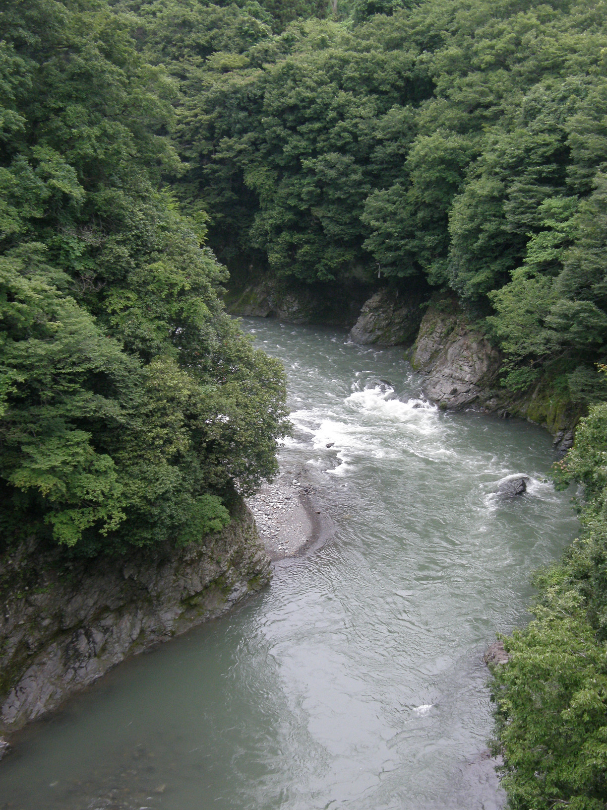 P7213074.jpg
