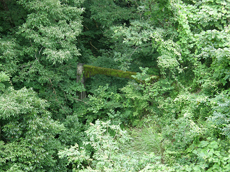 P7213080_thumb.png