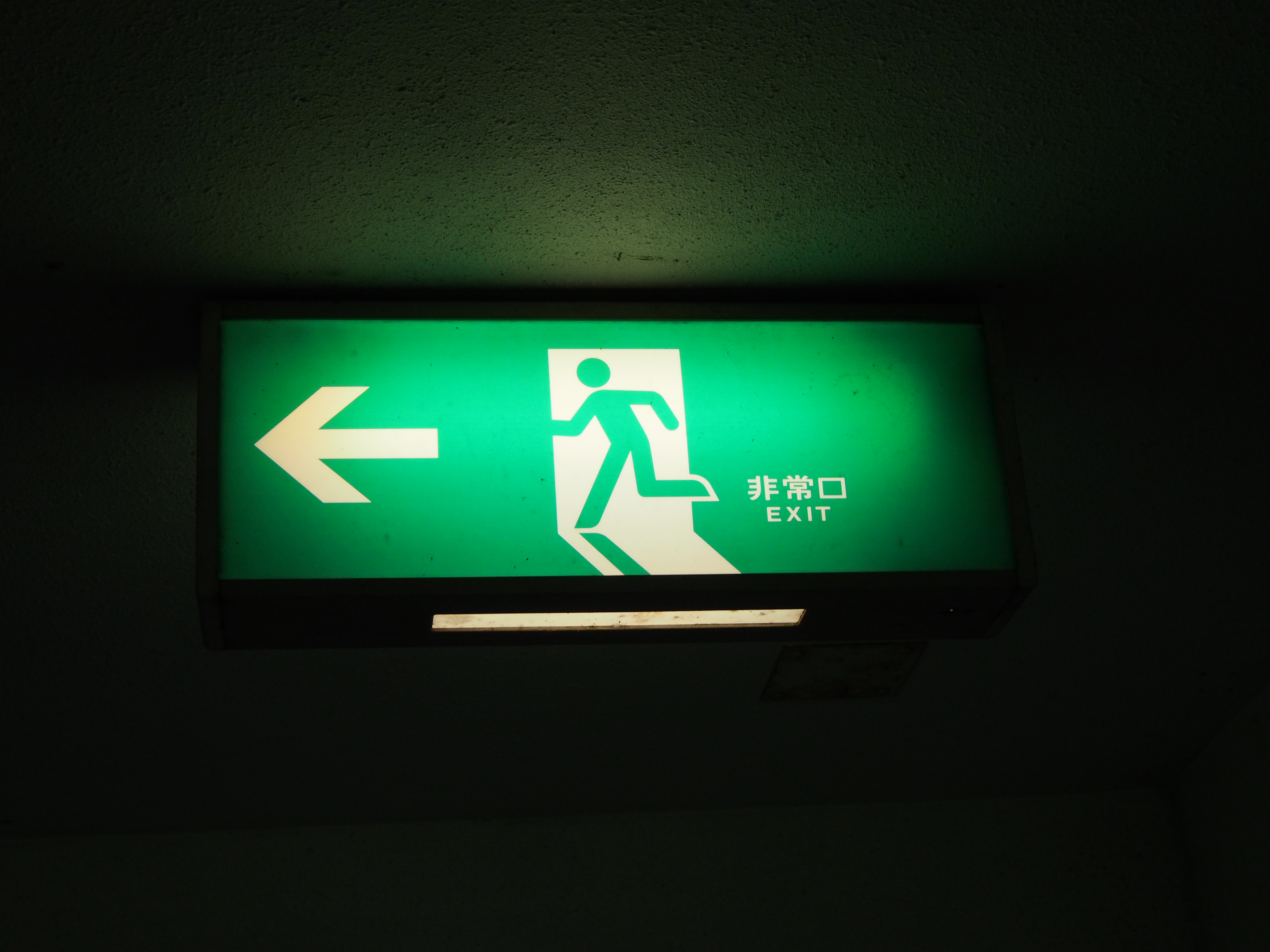 P8010133.JPG